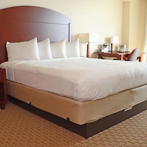 Estudio Executive con Cama King